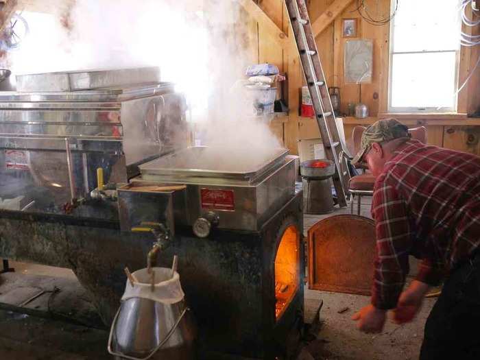 Inside the sugar house is a big contraption like this, which is called an evaporator. Many of them, like this one in Maine, are wood-fired.