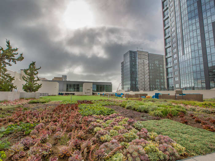 While workers often bring blankets and laptops to the massive lawn space to work outside.