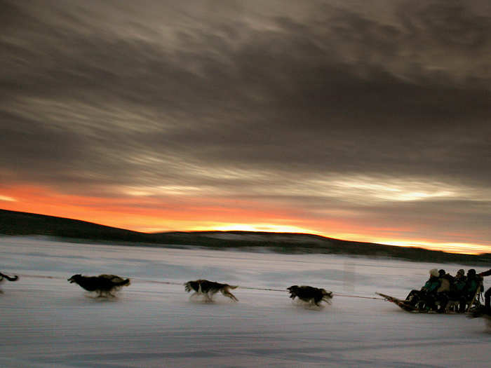 A dogsled team carries tourists down the frozen Torne River, located above the Arctic Circle in northern Sweden.