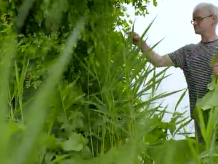 Redzepi then takes Bourdain to the farm where he gets most of his meat and vegetables. He explains that it