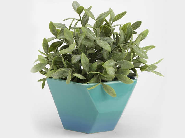 Liven up her new space with a new plant.