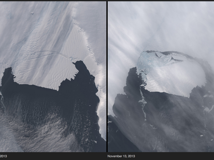 The crack continued to widen over the next year and in November 2013 a chunk of ice six times the size of Manhattan finally broke off. These calving events happen about every five or six years but this iceberg was about 50% larger than previous ones in the area.