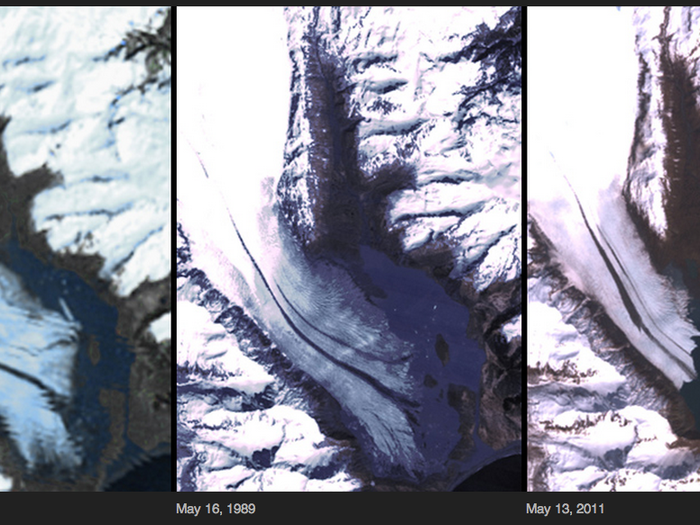 A series of images shows the retreat of the terminus of Bear Glacier in southern Alaska between 1980 and 2011. As the glacier has melted, chunks of ice have broken off the main mass and formed icebergs in the water.