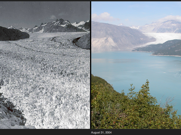 Another view of Muir Glacier shows extensive ice melt.