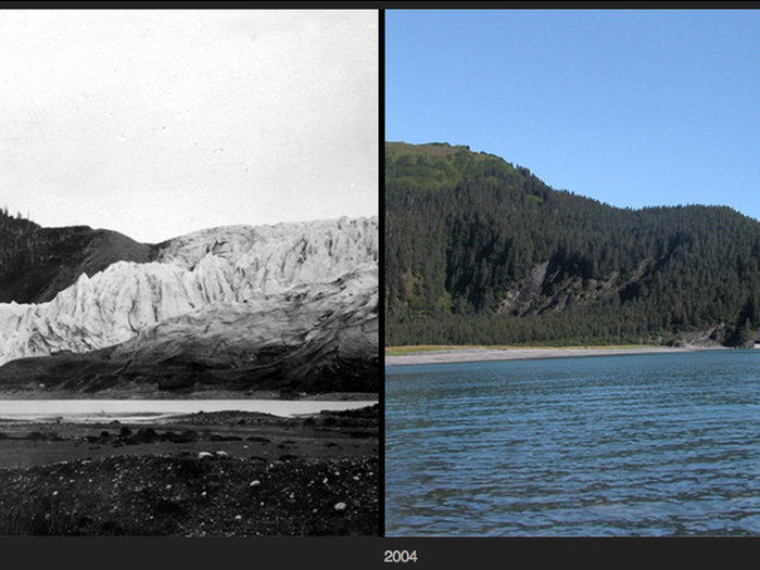 Comparison photos of McCarty Glacier in southern Alaska between 1909 and 2004 documents a retreat of nearly 10 miles over a time span of 95 years. You can see much more vegetation in the 2004 photo.