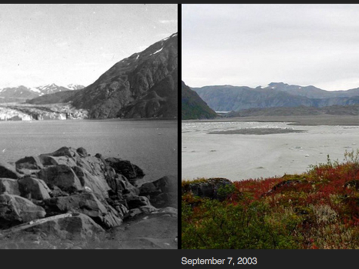 A pair of photos taken at the same location document significant changes that have occur at Carroll Glacier in Alaska