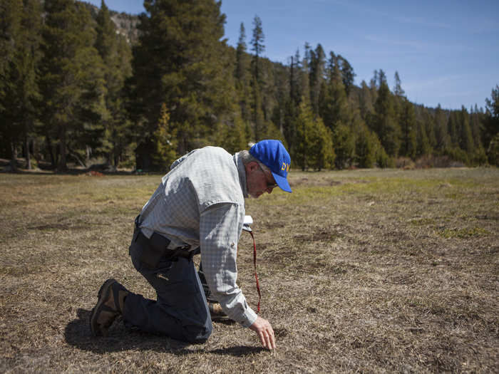 In Phillips, California, where 40 inches of snow is typical on May 1, the California water department