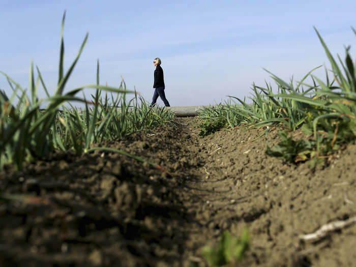 In March, the U.S. Bureau of Reclamation said that Central Valley farmers would receive no water through the federal irrigation program, a system of reservoirs, rivers, and canals that is normally refilled each year by ice melt from the snow-capped peaks in Northern California.