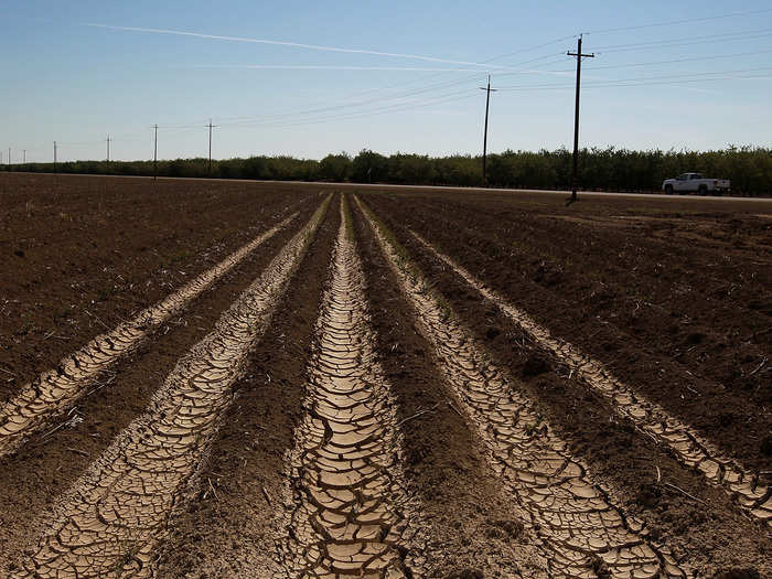 This year, more than half a million acres of crop land have been left unplanted due to water shortages.