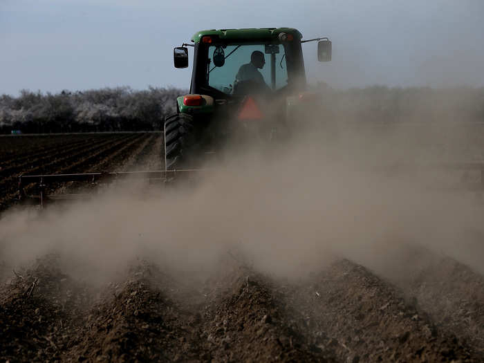 Almond farmer Barry Baker had to remove 20% of his almond trees because he didn