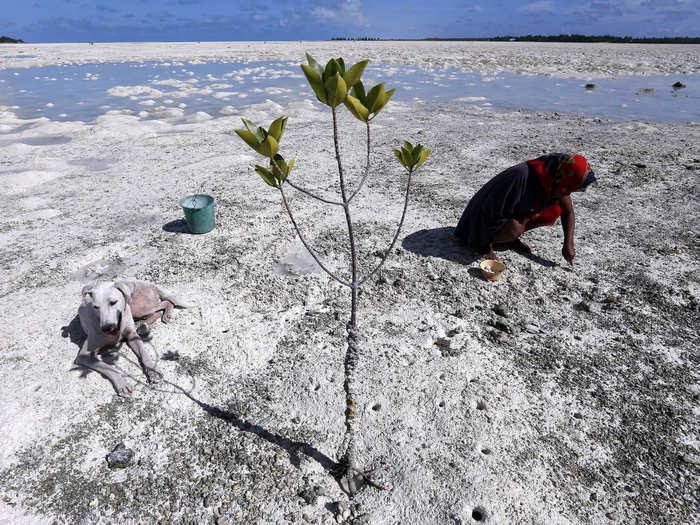 The saltwater and loss of coastal land will also negatively affect Kiribati