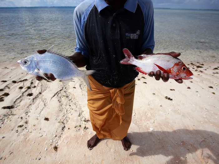 The government will move residents to land on Fiji if Kiribati becomes inhabitable.