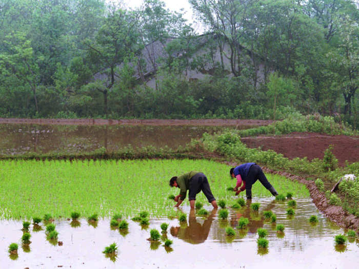 China’s food system feeds nearly 25% of the global population on just 7% of its arable land.