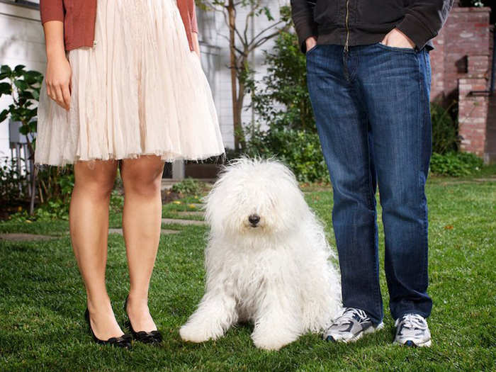 In March 2011, Chan and Zuckerberg picked up this pooch, Beast.