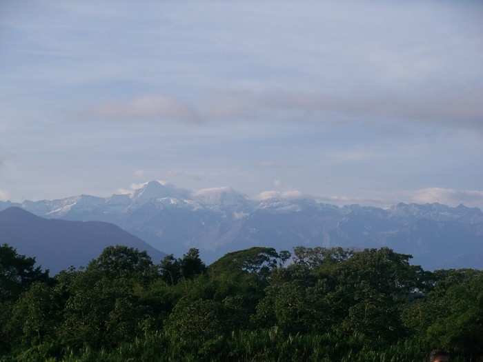 Sierra Nevada De Santa Marta, a mountain refuge for hundreds of species, is located in northern Colombia on the Caribbean coast. More than 600 bird species are found in this region, including the rusty-headed spinetail and white-lored warbler, which can