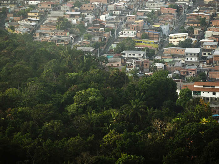 The Sauim Castanheira Wildlife Refuge runs right up to the edge of town.