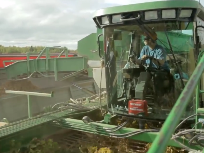 The farmers use this machinery to harvest the potatoes.