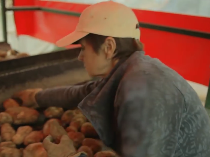 The fries go through a machine to remove dirt and grime. Once that