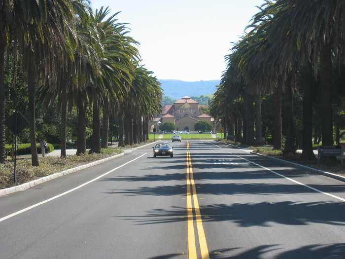 The road leading to the university is called Palm Drive.