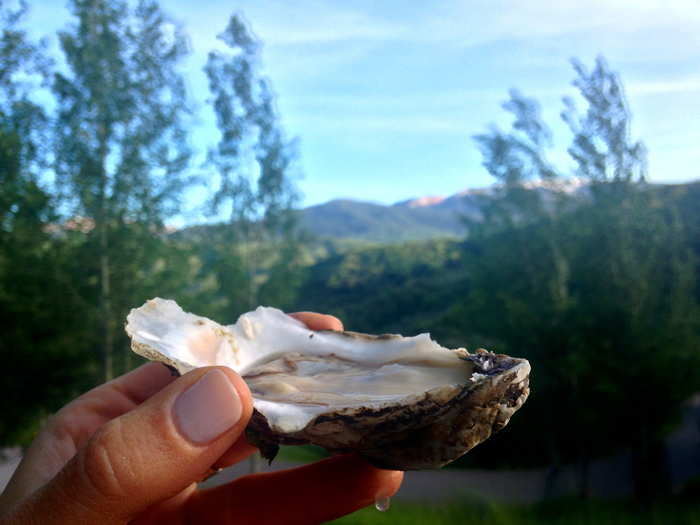 A raw oyster bar from Rappahanock Oysters.