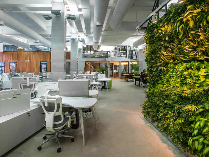 A green wall helps bring the outdoors back in.