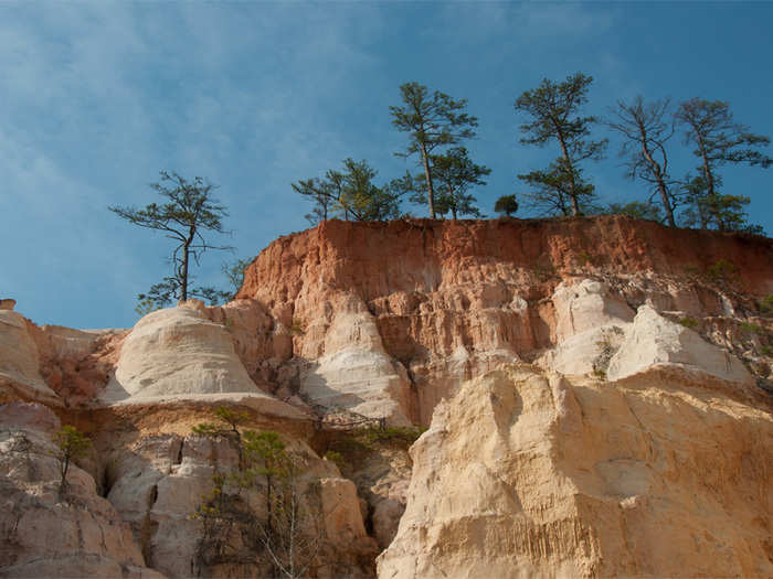 GEORGIA: Providence Canyon is also known as Georgia’s “Little Grand Canyon.” It was formed because of poor farming practices back in the 1800s, but the area is now considered a geographic wonder.