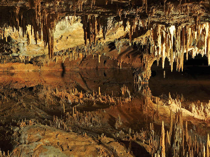 VIRGINIA: Luray Caverns make up the largest series of caverns in the eastern U.S. As well as exploring this cave of stalagmites and stalactites, you can also visit the Car and Carriage Caravan Museum, get lost in the garden maze, and fly through the Rope Adventure Park.