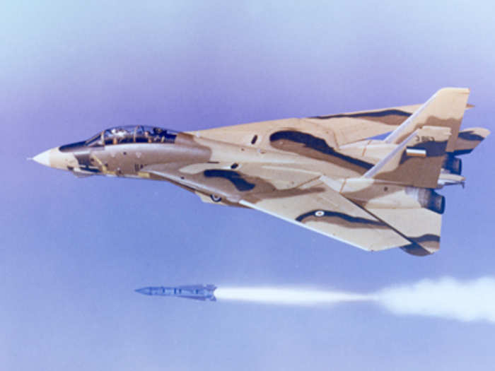 The F-14 Tomcat