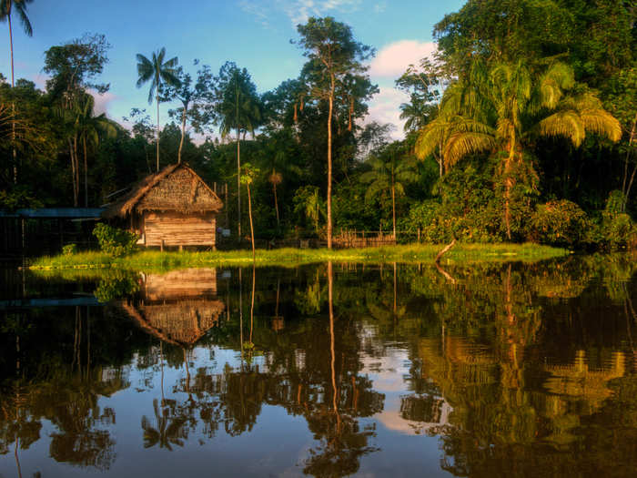 Though the Amazon River is teeming with wildlife, it can be incredibly peaceful.