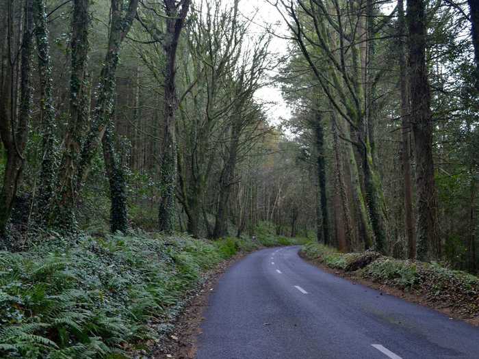 This small mountain pass towards Aherlow in Ierland was out of the way but very scenic.  Ireland really stepped up and gave me the best weather for the two week cycle through it.