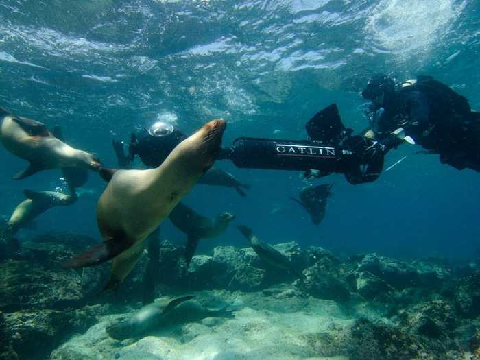By using a special version of the Trekker camera, divers were even able to capture images under water.