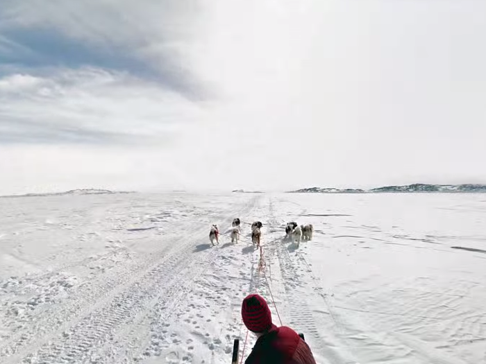 Google even took its cameras on a Canadian dog sled run.