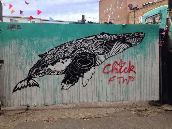 This whale is beautiful — but lesser vandals can