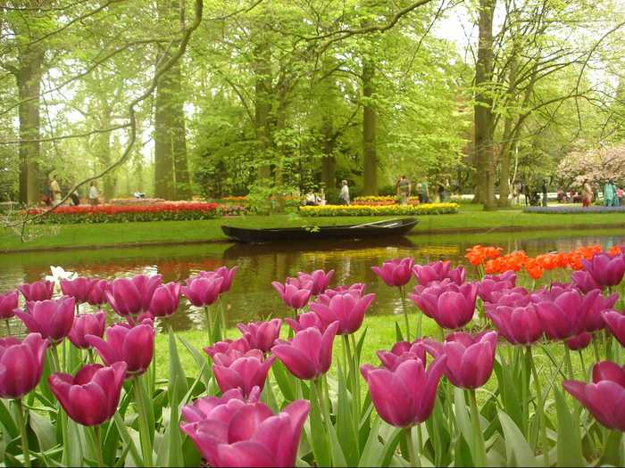 Smell the tulips at Keukenhof, a vast flower garden in Lisse, the Netherlands.