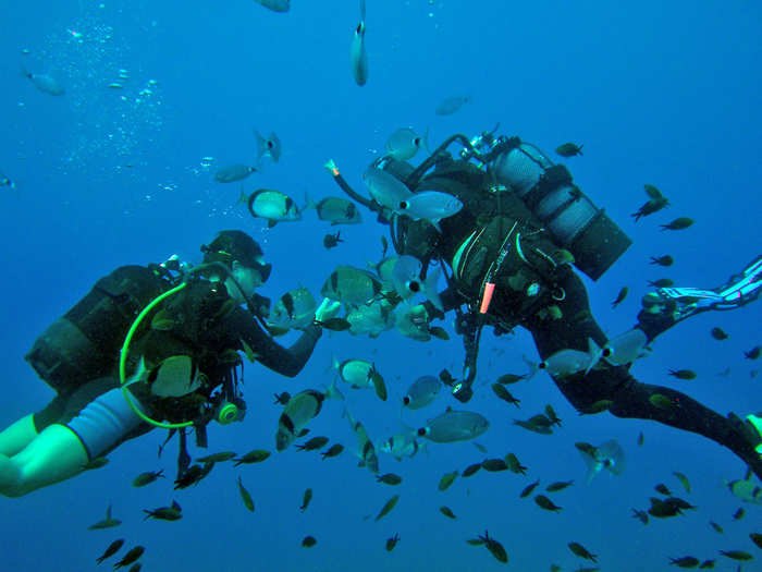 Scuba dive in the clear Mediterranean waters off the coast of Cyprus.