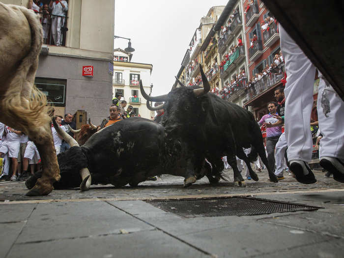 The tradition of the running of the bulls began when bulls for the following day