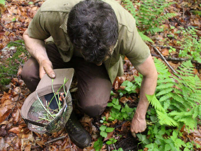 Foraging, or the act of scavenging for food in the wild, minimizes the number of hands that touch ingredients before they land on a plate. Some say once you experience how food is "supposed to taste," you’ll never want to eat a cultivated mushroom or farmed strawberry again. It