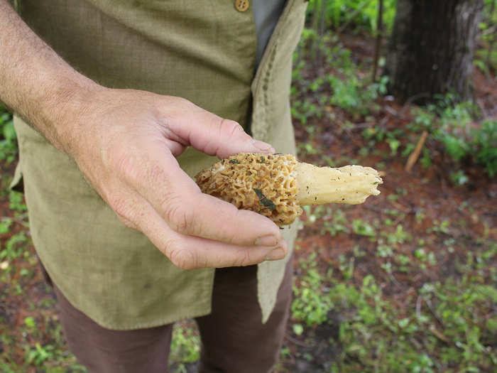 “When you’re trying to develop a particular dish, it’s helpful to see where the ingredients come from,” Kida says, adding that pairings become more instinctive and appreciation for the food grows. “You’re not going to take that precious morel mushroom and cover it in chimichurri sauce," he says.