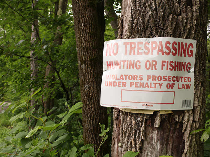 As we walk to the bog, we cross a number of "No Trespassing" signs. Strusinski, who grew up in this town but says few locals remember him, says they hang signs not to keep people off their property, but to deter hunters from shooting there. Still, foraging regulations vary state by state, so Strusinski will often ask the homeowners for permission before picking on their property.