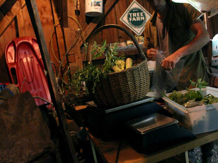 Back at the house, Strusinski carries the ingredients to a makeshift weighing station in the garage. He measures the quantity of each species and bags them.