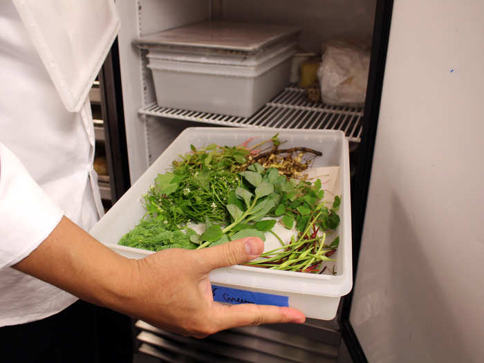 Kida retrieves the foraged ingredients, still in their bin, from a large refrigerator at the back of the kitchen. He will typically use whatever Strusinski supplies a day or two after it