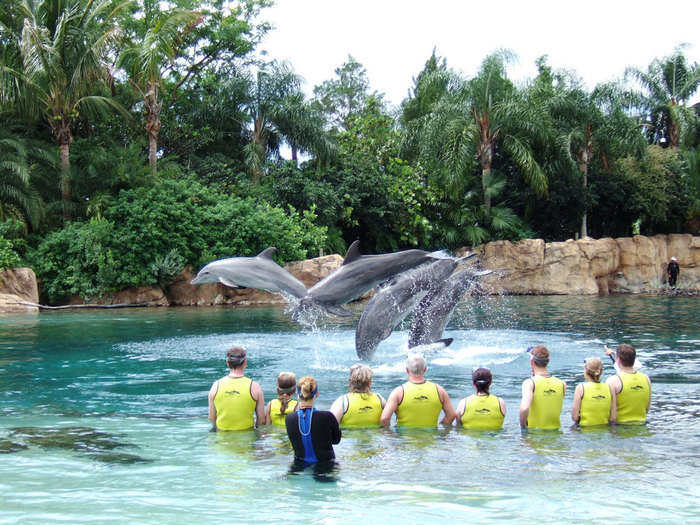 1. Discovery Cove, Orlando, Florida