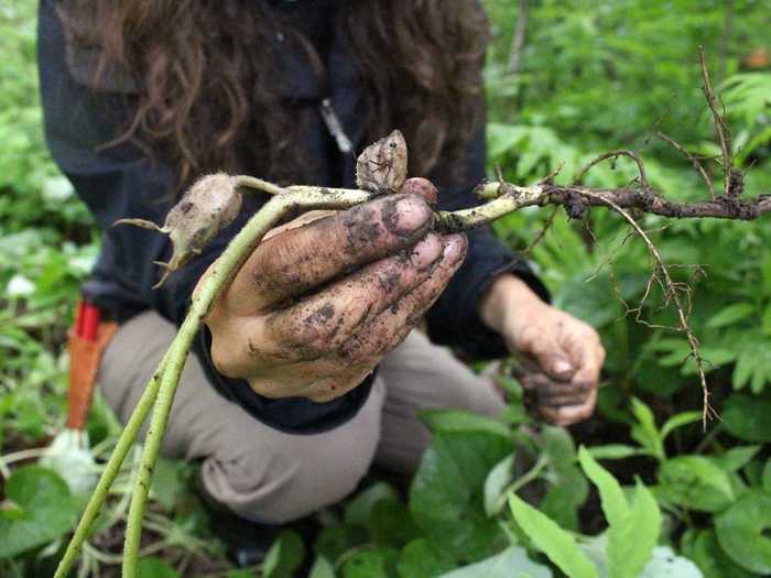 Now see where your food comes from.