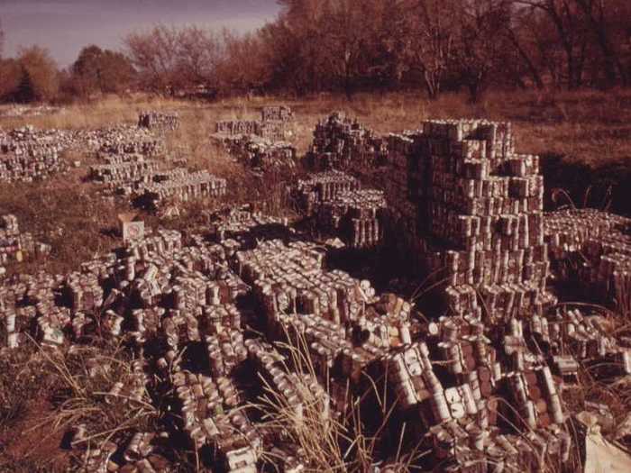 But constructing an entire house required many more cans than just litter could provide — about 70,000.