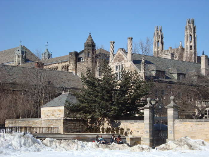 3. (TIE) Yale University