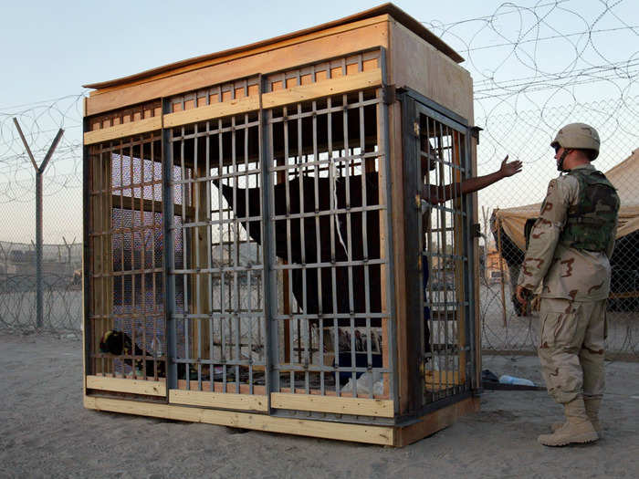 In this photo, taken by John Moore in 2004, a detainee in an outdoor solitary confinement cell talks with a military policeman at the Abu Ghraib prison on the outskirts of Baghdad. This photo was part of the same Prize-winning portfolio.