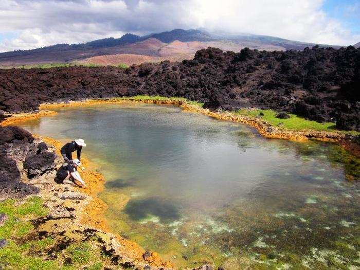 Justin Havird photographed researchers Stephanie Irvin and Kiley Seitz gathering samples at this landlocked pond. It