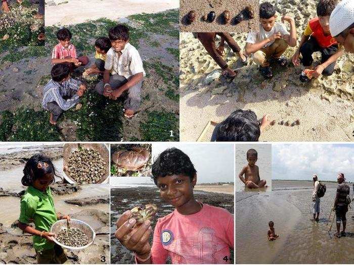 Paresh Poriya shows the way communities in western India depend on coastal areas for food in summer and pre-monsoon seasons.