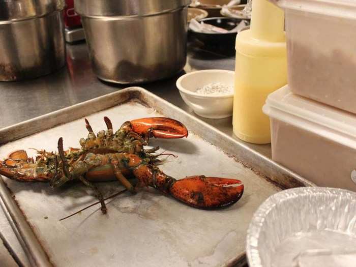 After cleaning the lobster, remove the rubber bands so the elastic flavor doesn