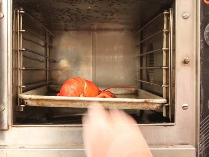 The cooking time depends on the size of the lobster. In the high-pressure steamer, a 1 and 1/8 pound lobster will cook in 10 minutes. The largest lobster Dimillo